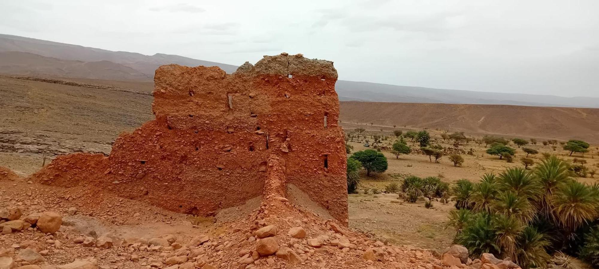 Bivouac Cote-Iriki 호텔 Foum Zguid 외부 사진